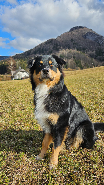 Bacio_Kuglstatter-Aussie_web-1