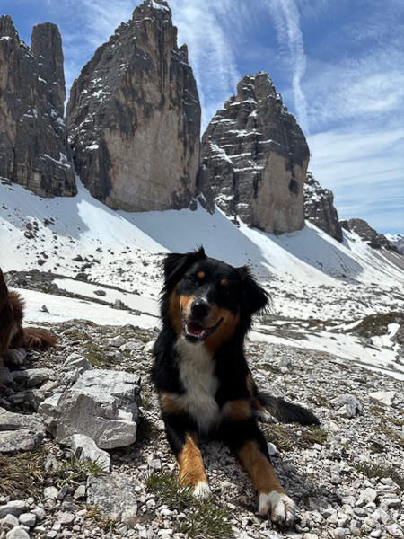 Balia_Kuglstatter_Aussie