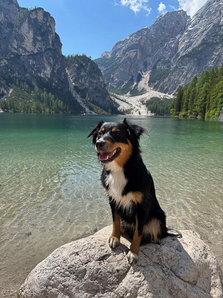 Balia_Kuglstatter_Aussie