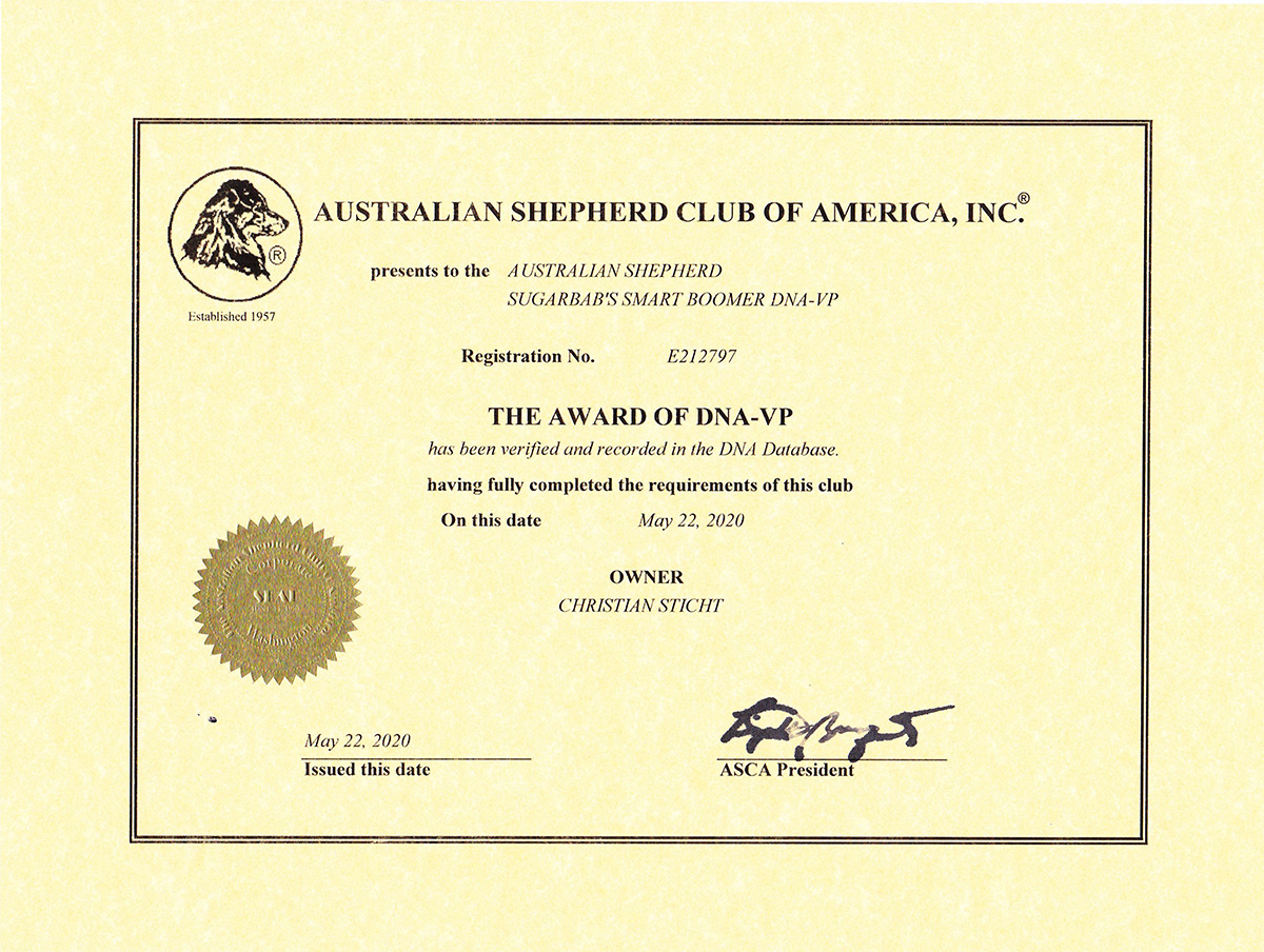 ASCA-Certification_Boomer