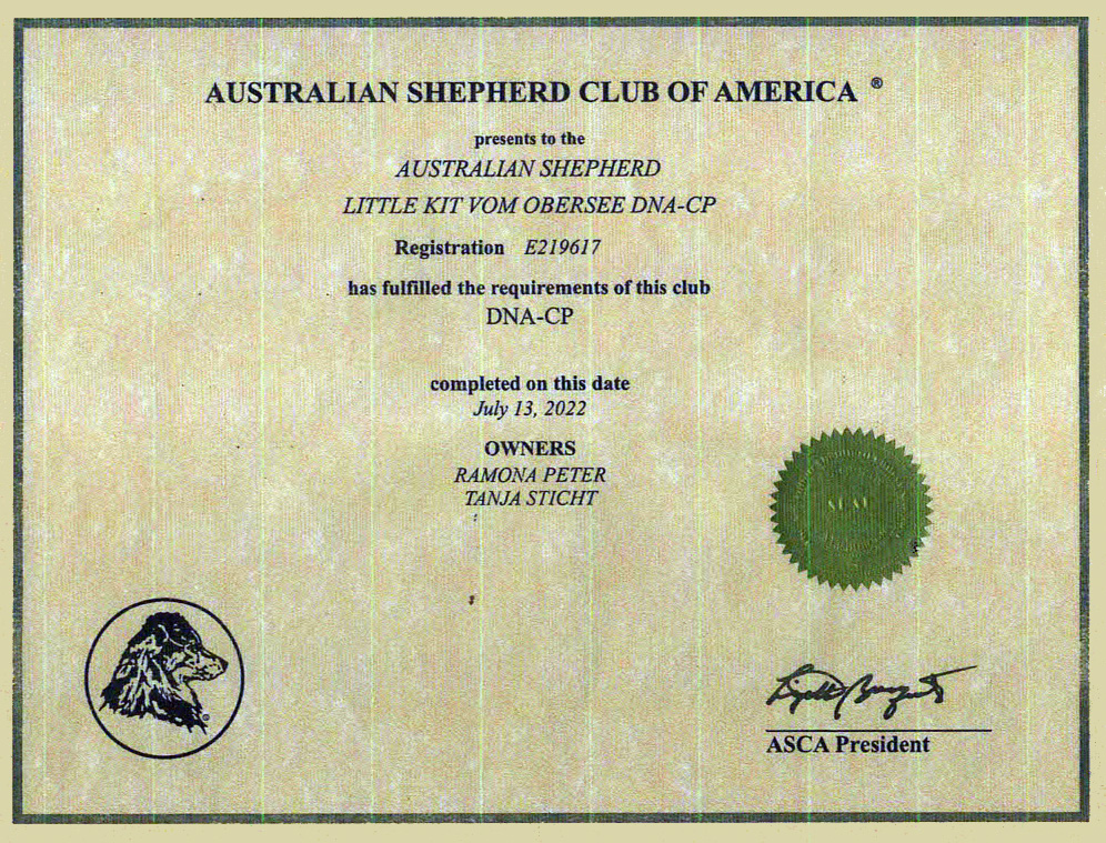 Little Kit Club of America - Kuglastatter Aussies