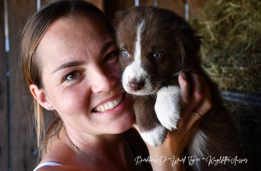 Kuglstatter Aussie DREAMER