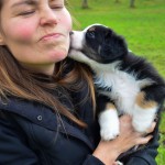 Kuglstatter Welpen 6 Wochen