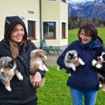 Kuglstatter Welpen 6 Wochen